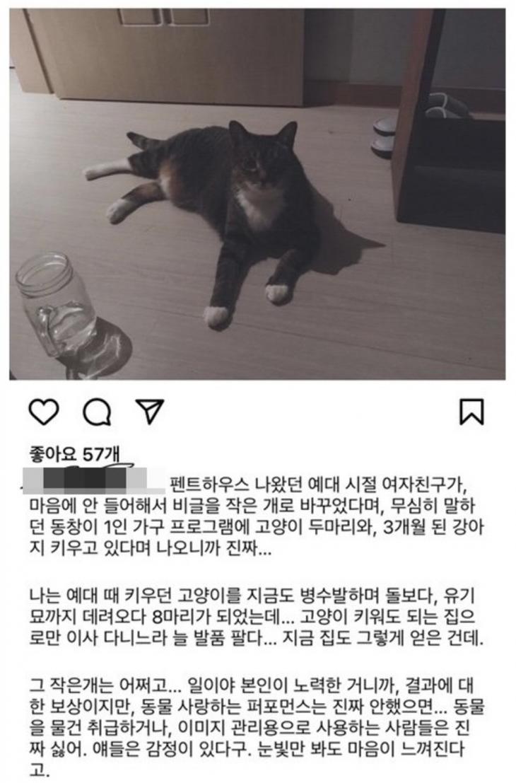 “If I didn’t do an animal-loving performance”…  ‘Penthouse’ Park Eun-suk University alumni controversy over suspicion of sending dogs-reporter Lee Chang-gyu