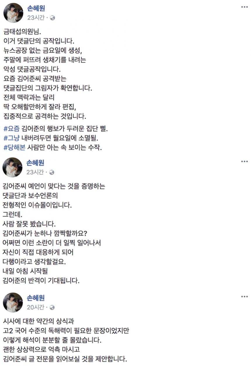 더불어민주당 손혜원 의원 페이스북 글 전문 / 손혜원 의원 페이스북