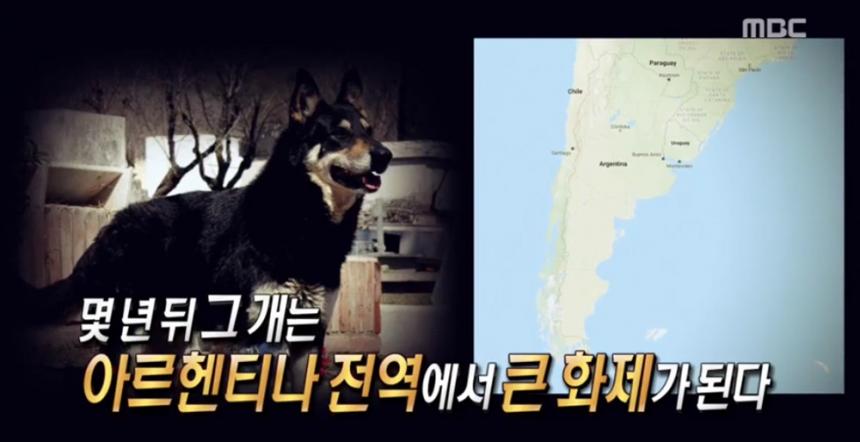 ‘신비한TV서프라이즈’ 방송 화면 캡처