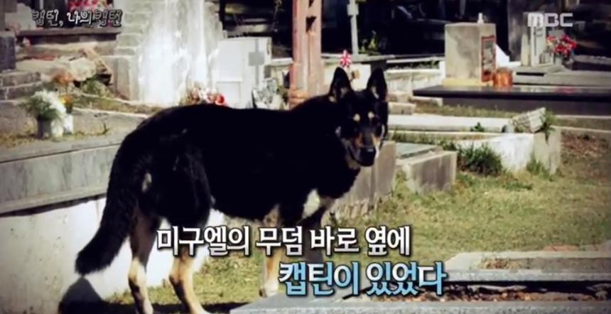 ‘신비한TV서프라이즈’ 방송 화면 캡처