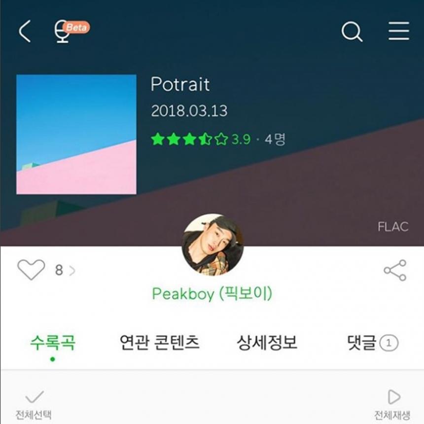 픽보이(Peakboy) ‘Potrait’ 앨범 /박서준 인스타그램