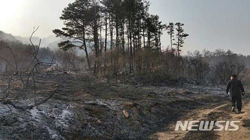 30일 오후 2시12분께 경기 포천시 관인면의 한 야산에서 불이 나 2시간여 만에 꺼졌다. 2018.03.30. / 뉴시스 제공