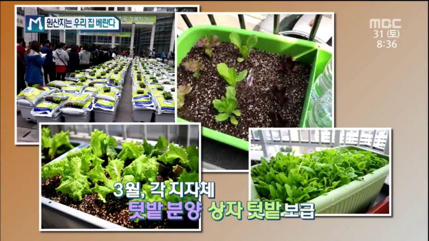MBC ‘경제매거진M’ 방송 캡처