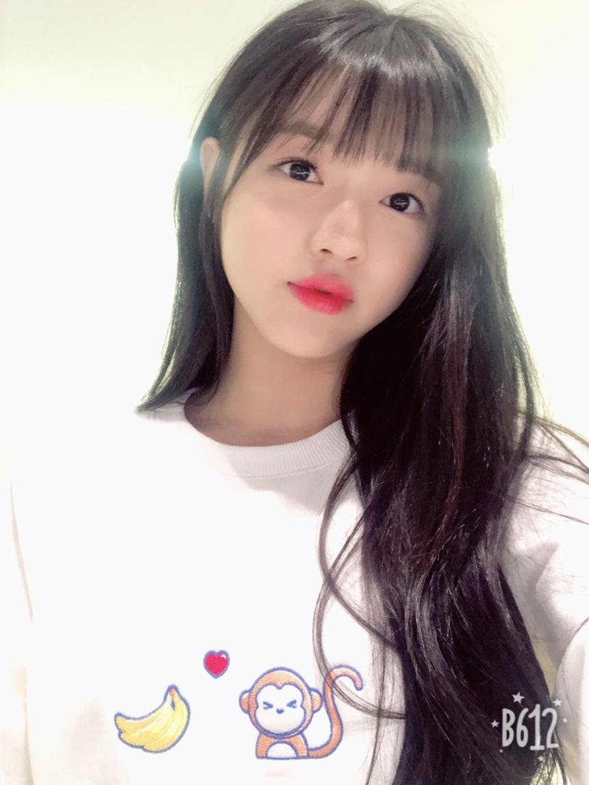 오마이걸 공식 트위터