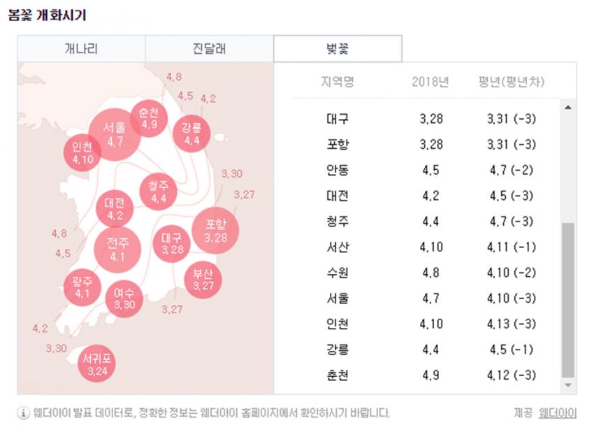 네이버 벚꽃 개화 시기 검색 결과