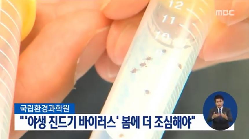 KBS 뉴스 화면