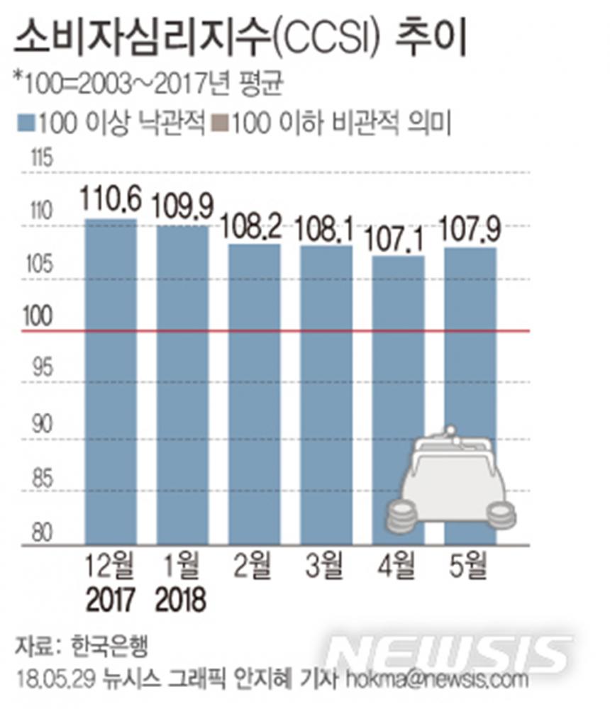 한국은행이 29일 발표한 ‘2018년 5월 소비자동향조사’ / 뉴시스