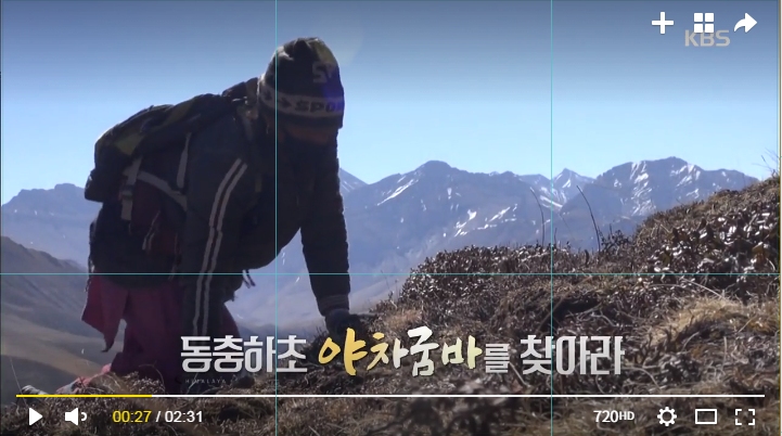 KBS1 ‘KBS 파노라마’ 방송 캡처