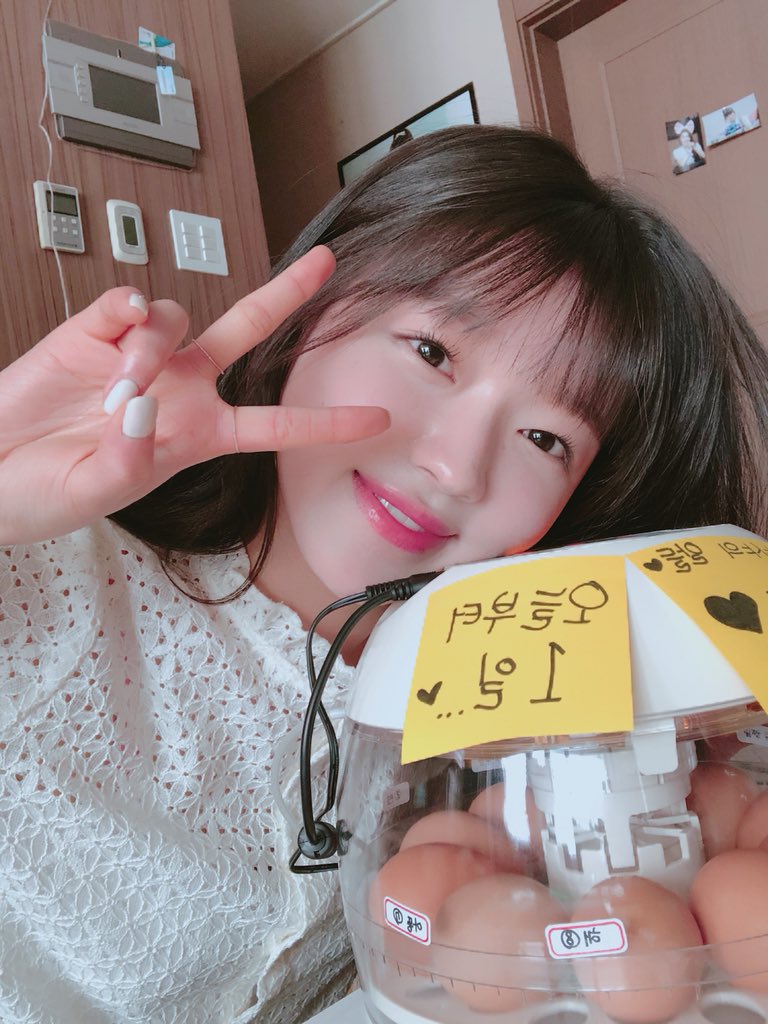 오마이걸(OH MY GIRL) 트위터