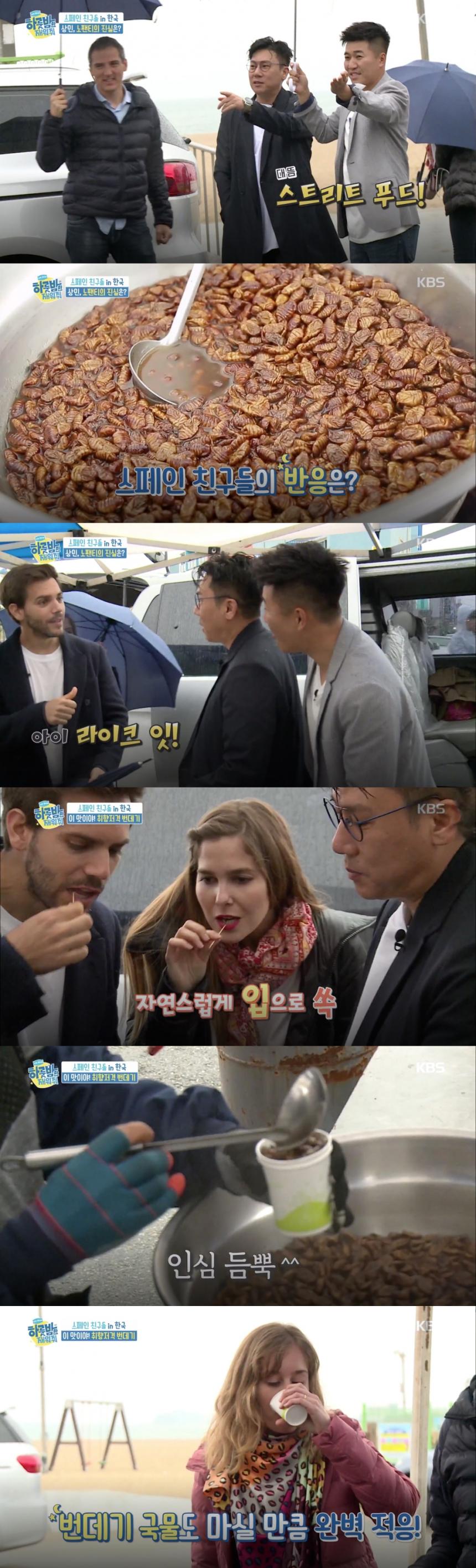 번데기 / KBS2 ‘하룻밤만 재워줘’ 방송 캡처