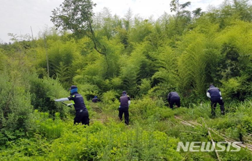 ‘강진 여고생’ 수색작업을 벌이고 있다. 2018.06.23. (사진=전남경찰청 제공) / 뉴시스