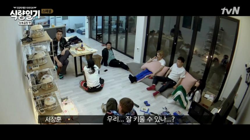 tvN ‘식량일기 닭볶음탕 편’ 방송 캡처