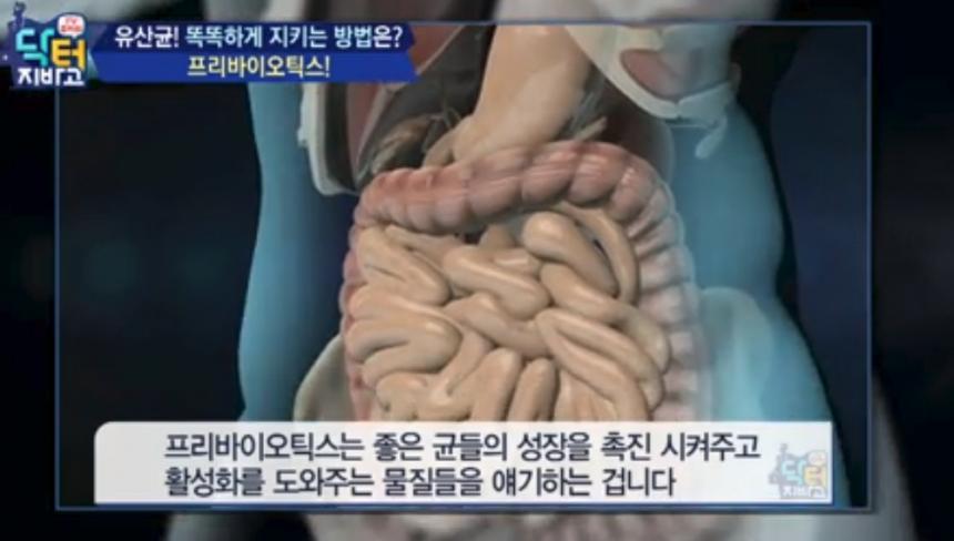 ‘닥터지바고’ 네이버티비캐스트