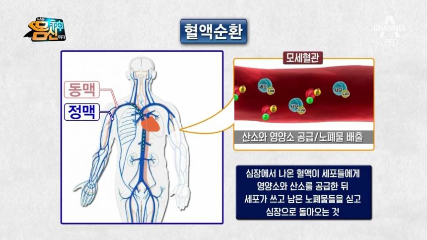 ◀ 앵커 ▶◀ 리포트 ▶