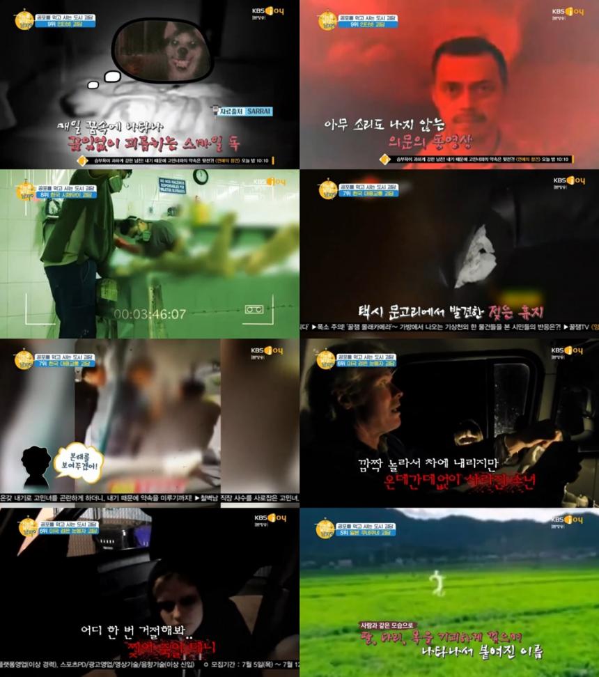 KBS joy‘차트를 달리는 남자’방송캡처