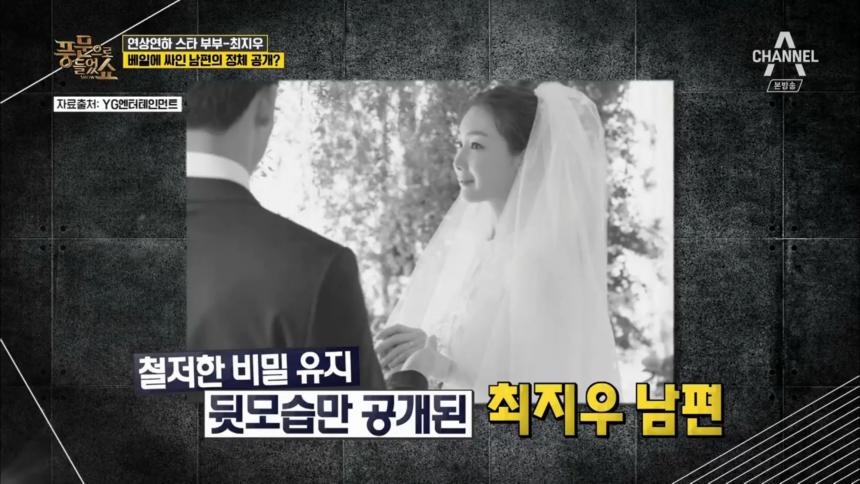 채널A ‘풍문으로 들었쇼’ 방송 캡처