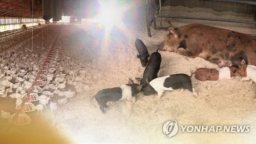 [연합뉴스TV 제공]