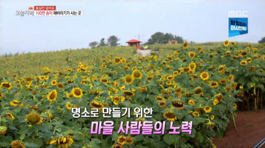 MBC ‘생방송 오늘 저녁’ 방송 캡처