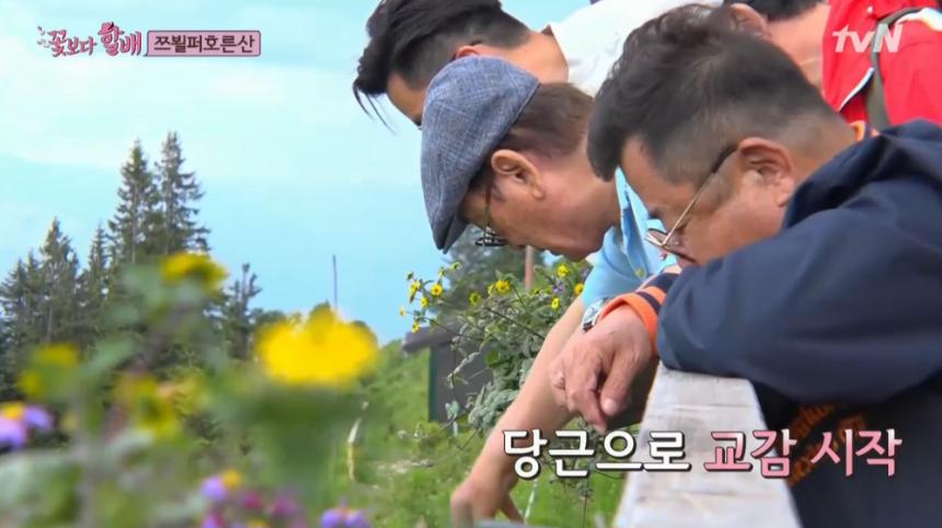 tvN ‘꽃보다 할배 리턴즈’ 방송 캡처