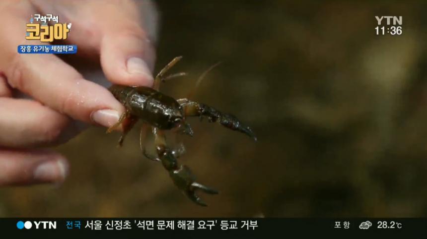 YTN ‘구석구석 코리아’ 방송 캡처