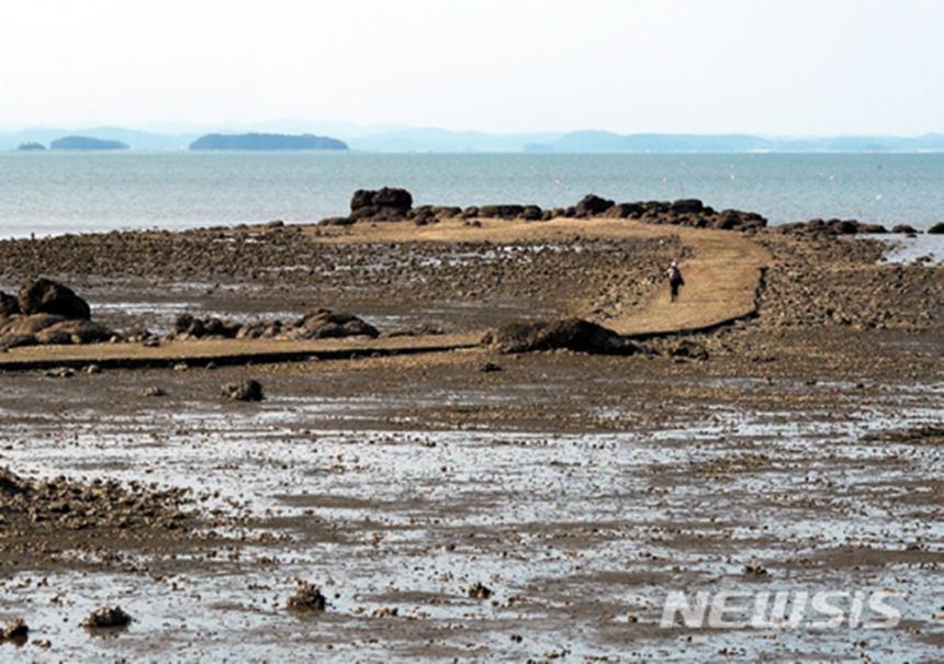 기사 내용과 관련 없는 사진 / 뉴시스