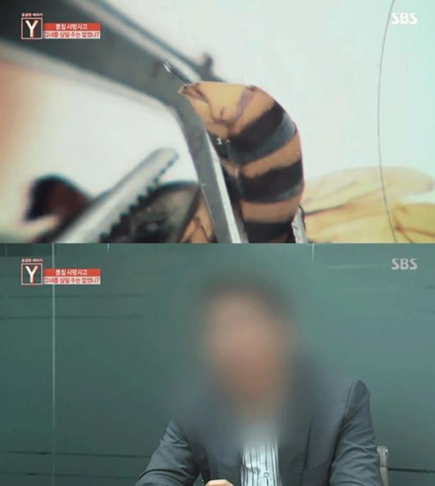 SBS ‘궁금한 이야기Y’ 방송 캡처