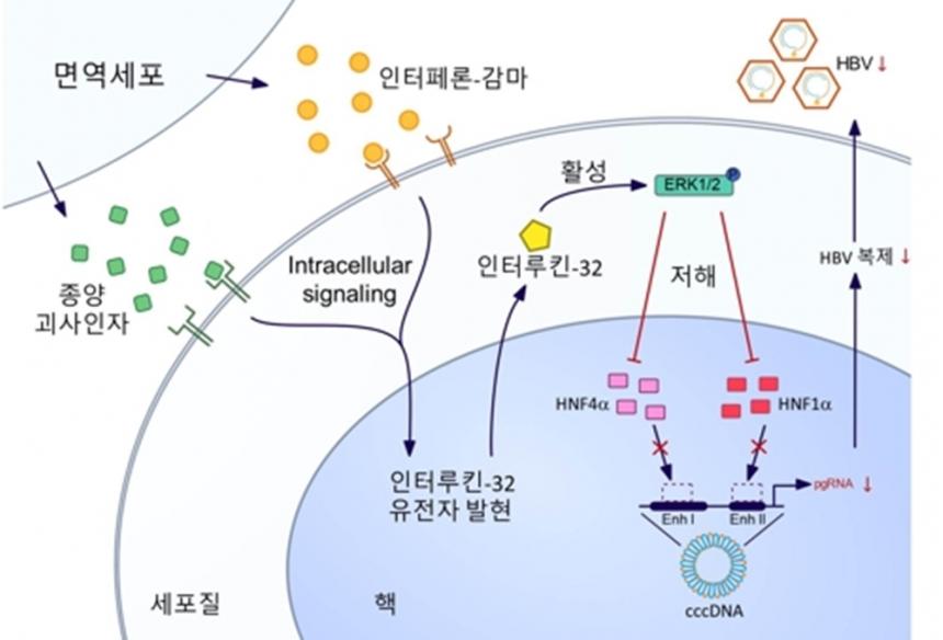 연합뉴스 제공