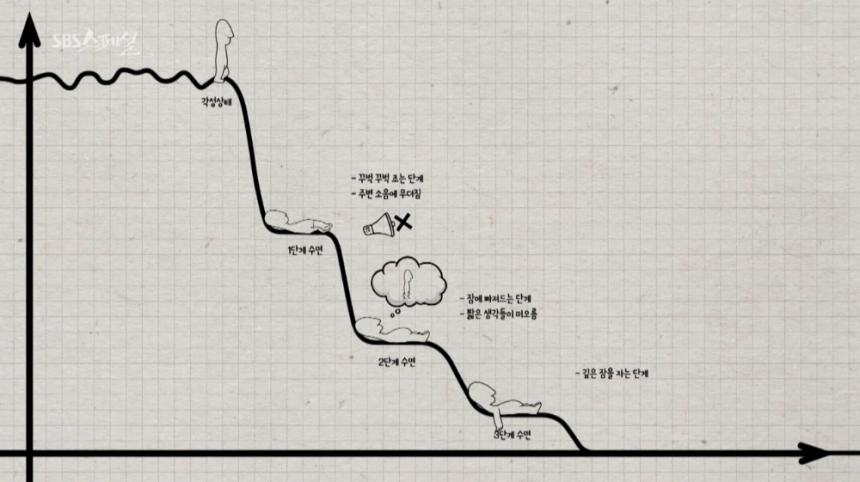 SBS ‘SBS 스페셜’ 방송 캡처