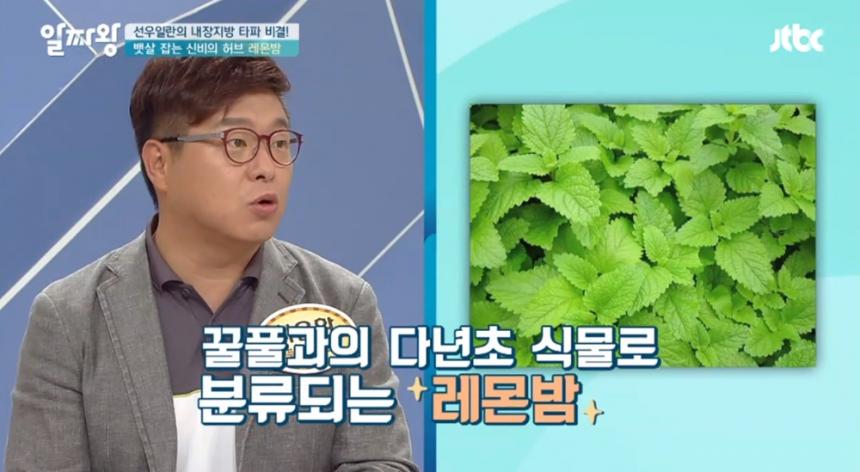 JTBC ‘TV정보쇼 알짜왕’ 방송 화면 캡처
