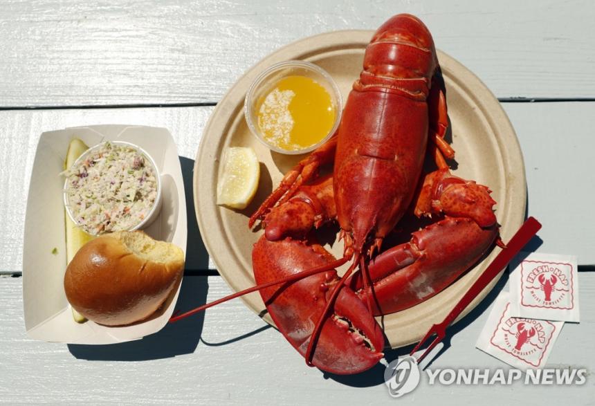 바닷가재 요리 / AP=연합뉴스 자료사진