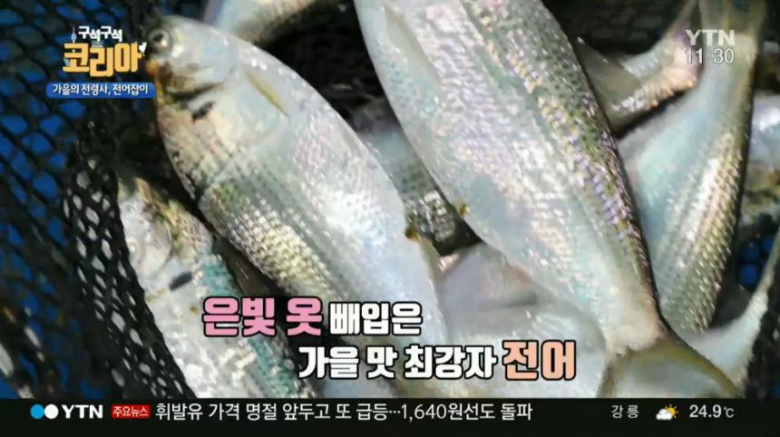 YTN ‘구석구석 코리아’ 방송 캡처