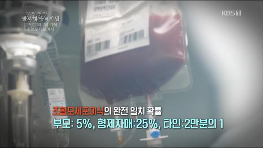KBS1 ‘생로병사의 비밀’ 방송 캡처