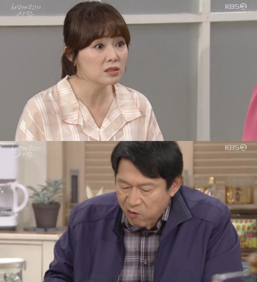 KBS ‘차달래 부인의 사랑’캡쳐