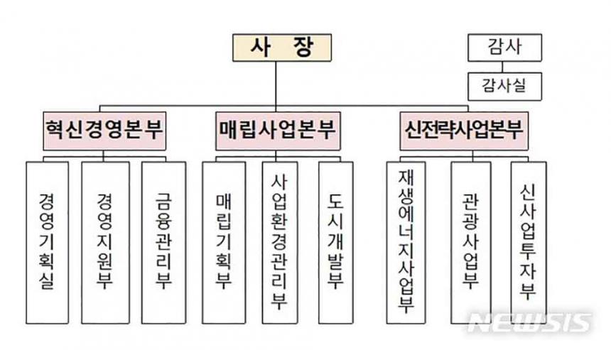 뉴시스