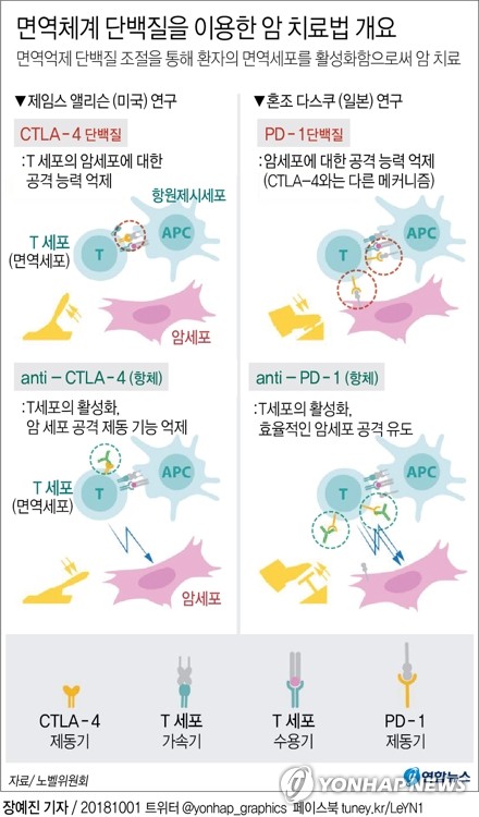 연합뉴스 제공