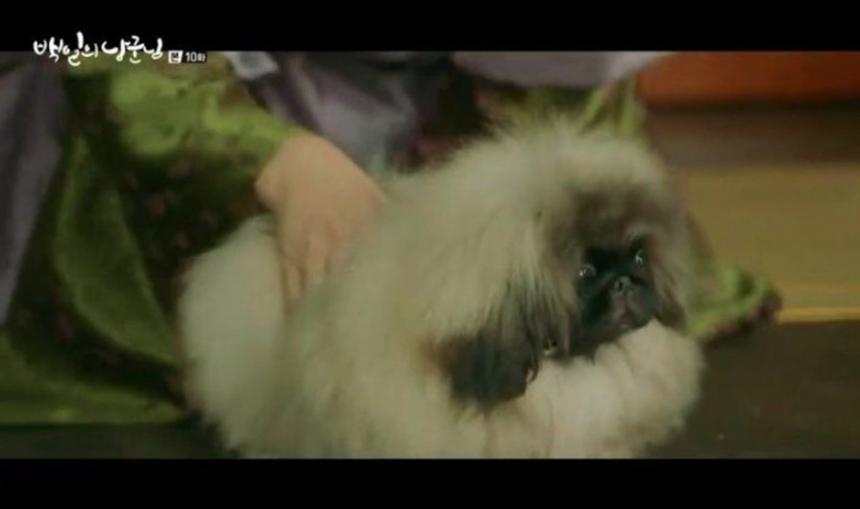 tvN ‘백일의 낭군님’ 방송 캡처
