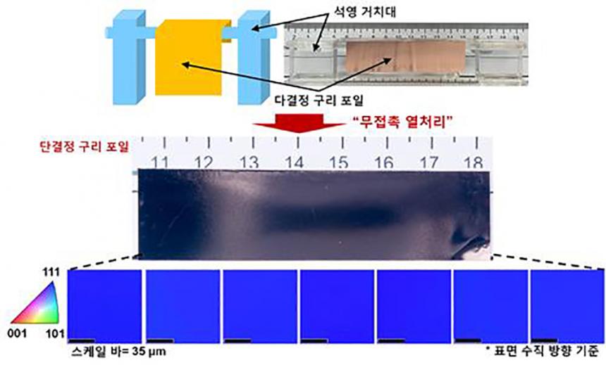 뉴시스