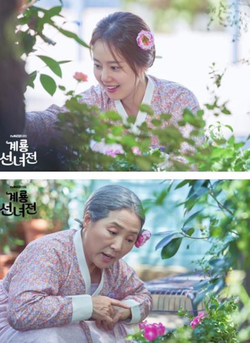 tvN ‘계룡선녀전’ 공식사이트