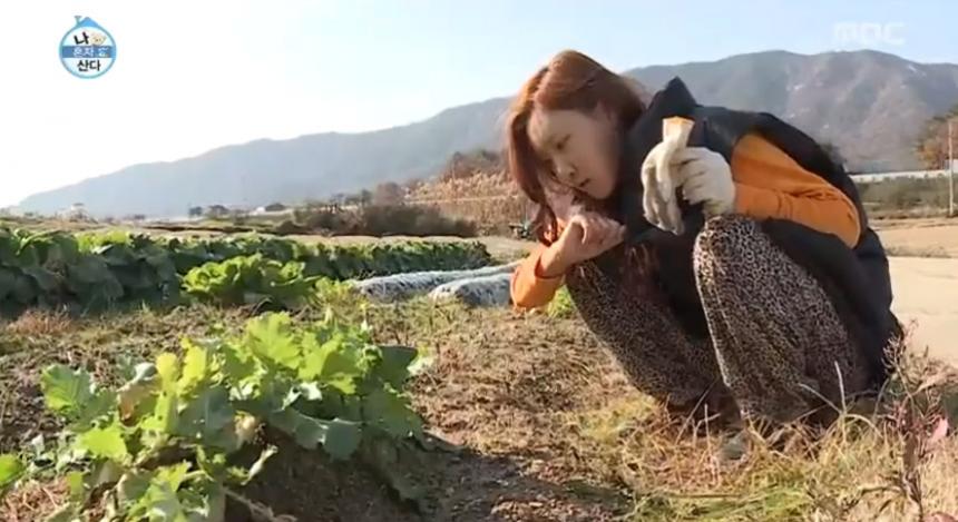 MBC ‘나혼자산다’ 방송 캡처