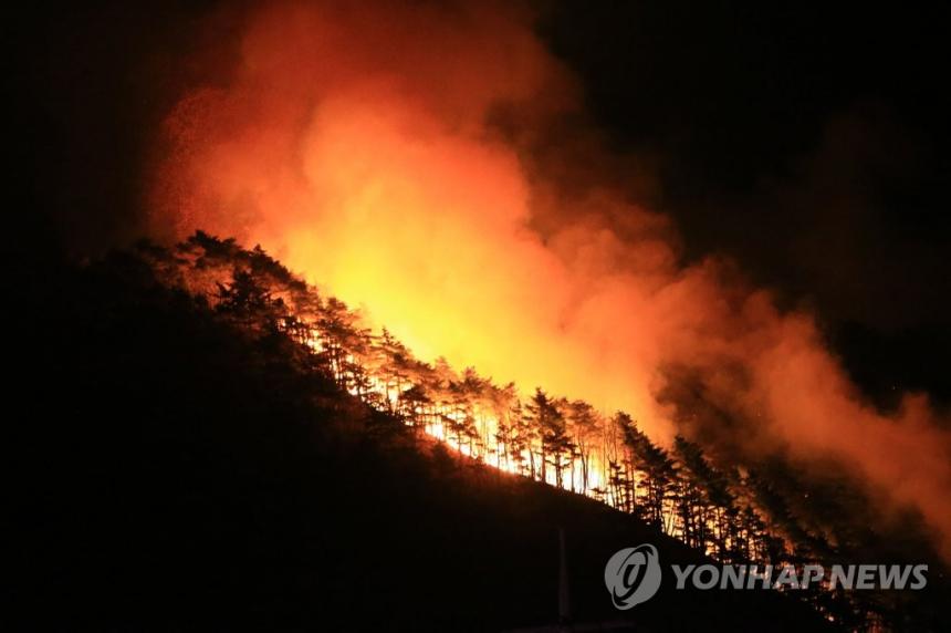 능선으로 번지는 산불 / 연합뉴스