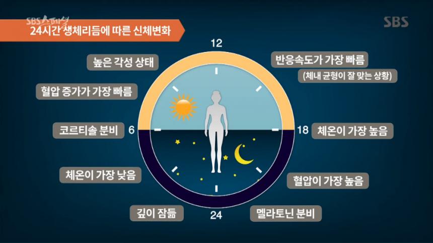 SBS ‘SBS 스페셜’ 방송 캡처