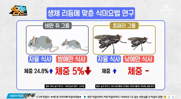 채널A ‘나는 몸신이다’ 방송 캡처