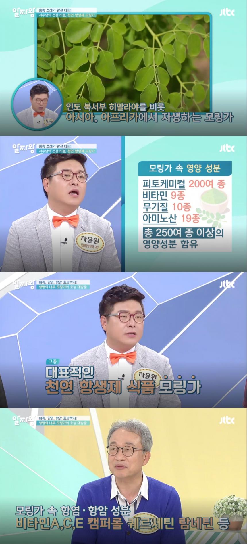 JTBC ‘TV정보쇼 알짜왕’ 방송 캡처