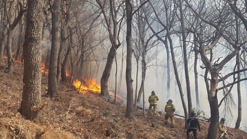 28일 건조경보 속 부산기장군 산불 발생 / 연합뉴스