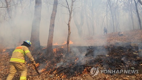 연합뉴스 제공