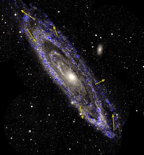 안드로메다 은하 내 별의 움직임 / [ESA 제공]