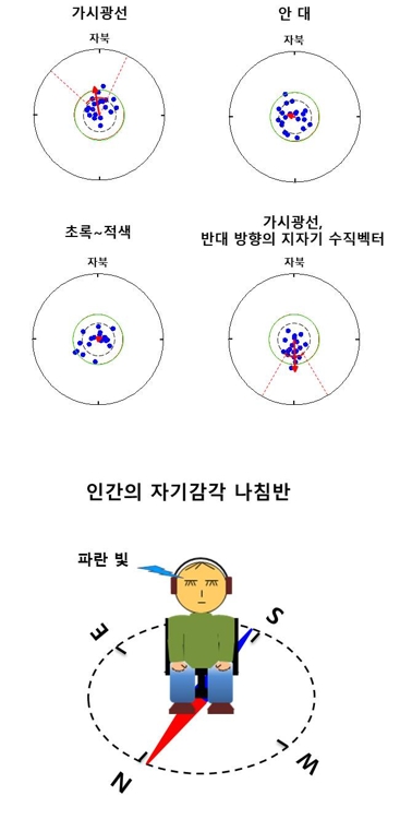 한국연구재단-연합뉴스 제공