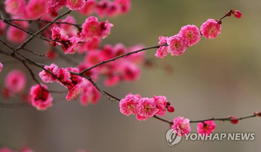 연합뉴스 제공