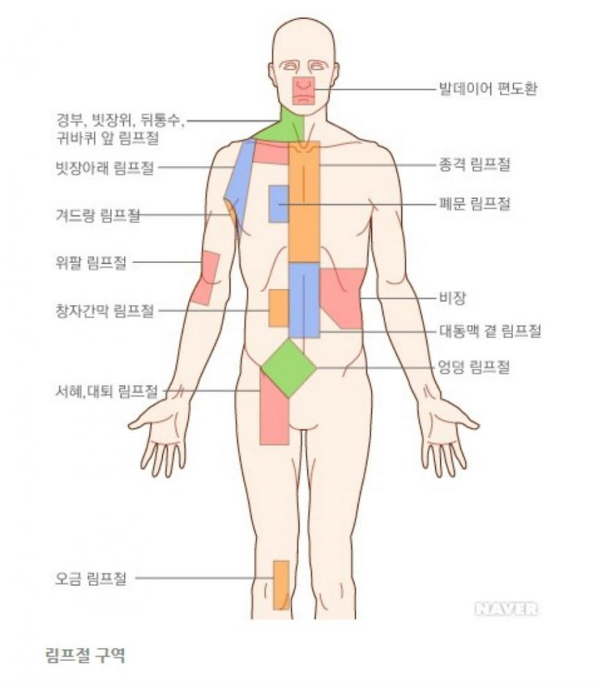 네이버 지식백과