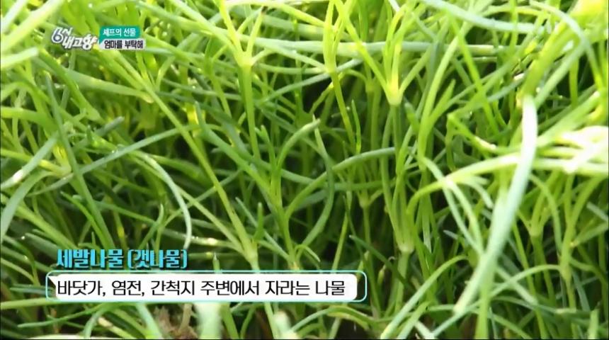 KBS1 ‘6시 내고향’ 방송 캡쳐